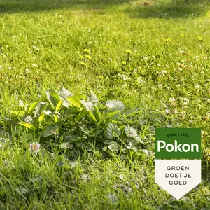 Pokon Onkruid Weg! 2,4kg voor 120m² - afbeelding 4