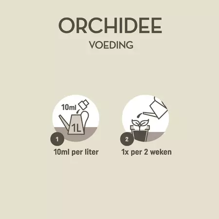 Pokon Orchidee Voeding 250ml - afbeelding 3