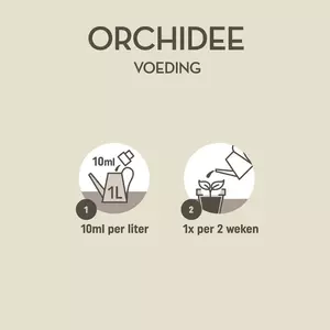 Pokon Orchidee Voeding 250ml - afbeelding 3