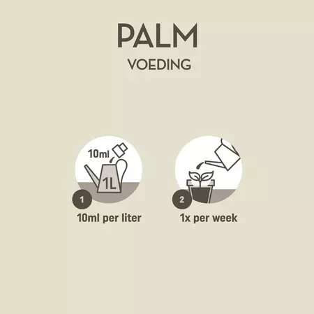 Pokon Palm Voeding 250ml - afbeelding 3