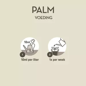 Pokon Palm Voeding 250ml - afbeelding 3