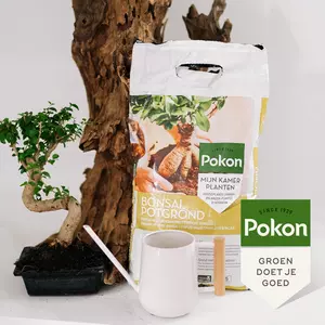 Pokon Potgrond Bonsai 5L - afbeelding 4