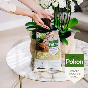 Pokon Potgrond Orchidee 5L - afbeelding 4