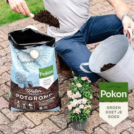 Pokon Potgrond Waterproof 30L - afbeelding 4