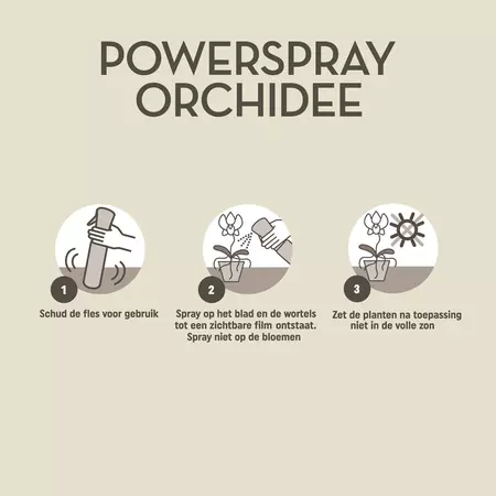 Pokon Powerspray Orchidee 300ml - afbeelding 3