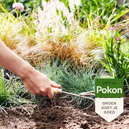 Pokon Siergrassen & Bamboe Mest 1kg - afbeelding 4