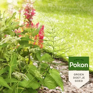 Pokon Tegen Hardnekkig Onkruid Concentraat 100ml Weedex - afbeelding 3