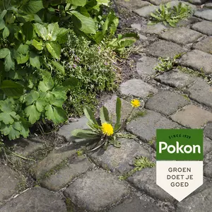 Pokon Tegen Onkruid Spray 1L - afbeelding 4