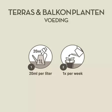 Pokon Terras & Balkon Planten Voeding 1L - afbeelding 3