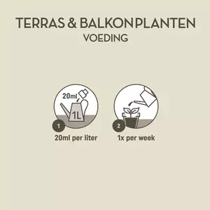 Pokon Terras & Balkon Planten Voeding 1L - afbeelding 3