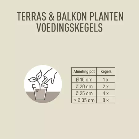 Pokon Terras & Balkon Planten Voedingskegels 10st - afbeelding 3