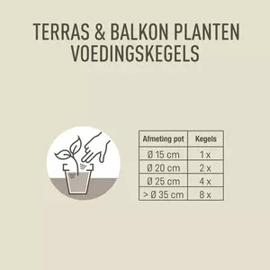 Pokon Terras & Balkon Planten Voedingskegels 10st - afbeelding 3