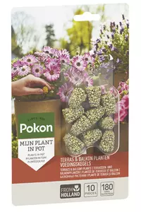 Pokon Terras & Balkon Planten Voedingskegels 10st - afbeelding 1