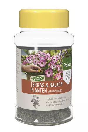 Pokon Terras & Balkon Planten Voedingskegels 40st - afbeelding 1
