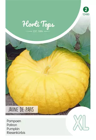 Pompoen Jaune de Paris, type Gele Reuzen