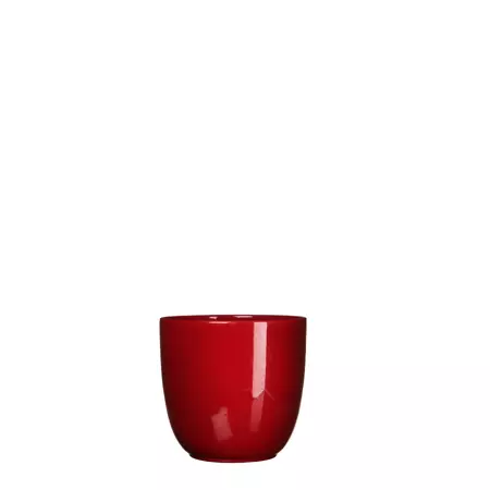 Tusca d10h9cm donkerrood glans