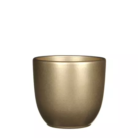 Tusca d13.5h13cm goud