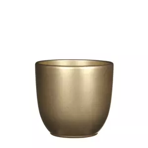 Tusca d13.5h13cm goud