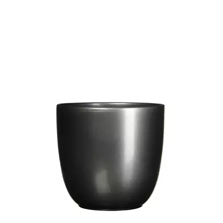Tusca d19.5h18.5cm antrct glans