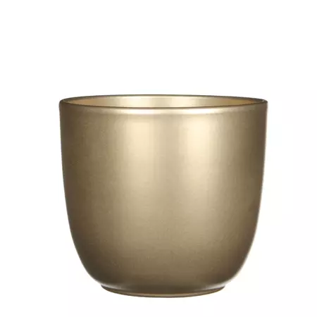 Tusca d19.5h18.5cm goud