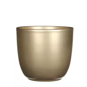 Tusca d19.5h18.5cm goud