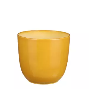 Tusca d19.5h18.5cm oker
