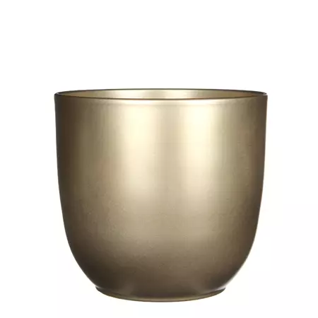Tusca d22.5h20cm goud