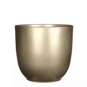 Tusca d22.5h20cm goud