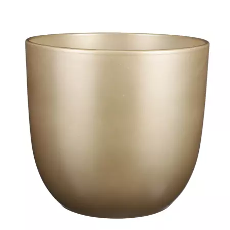 Tusca d31h28.5cm goud