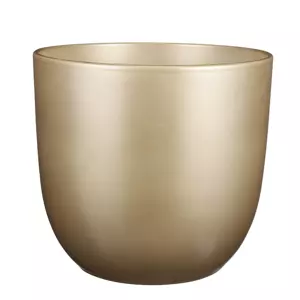 Tusca d31h28.5cm goud