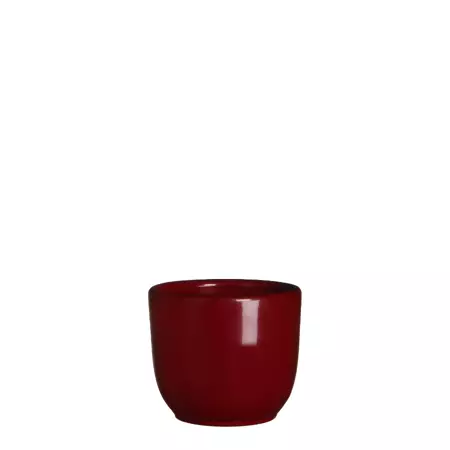 Tusca d7.5h6.5cm d.rood glans