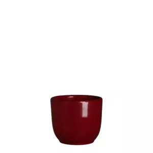 Tusca d7.5h6.5cm d.rood glans