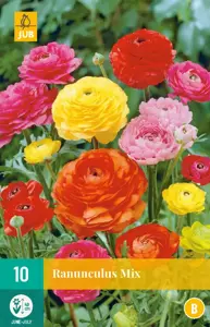 Ranunculus Mix