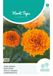 Tagetes, hoge Afrikaan Hawaii oranje