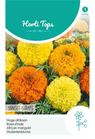 Tagetes, hoge Afrikaan Sunset Giants gemengd