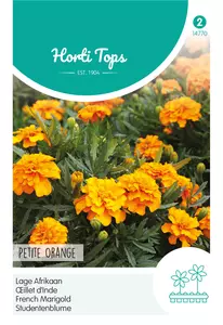 Tagetes, lage Afrikaan Petite Orange