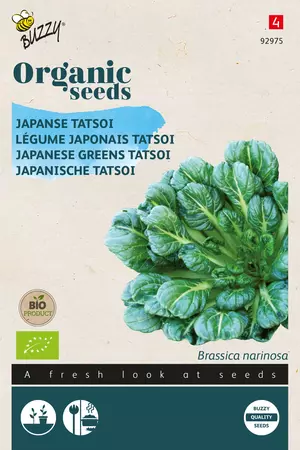 Japanse Tatsoi