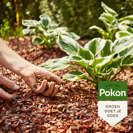 Pokon Cacaodoppen 50L - afbeelding 3