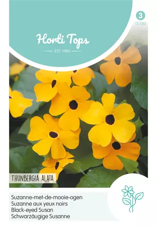 Thunbergia, Suzanne-met-de-mooie-ogen