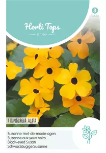 Thunbergia, Suzanne-met-de-mooie-ogen