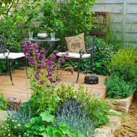 Tuinplanten