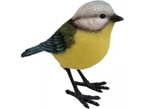 Tuinvogel