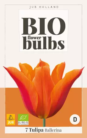 Tulipa Ballerina - bio