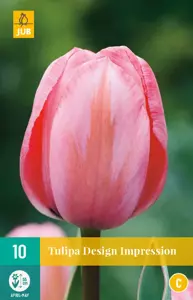 Tulipa Design Impression