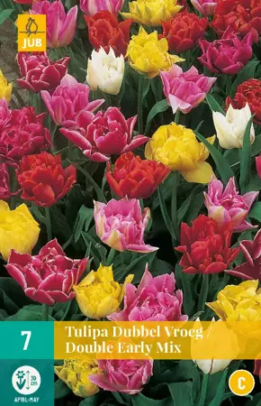 Tulipa Dubbel Vroeg Mix