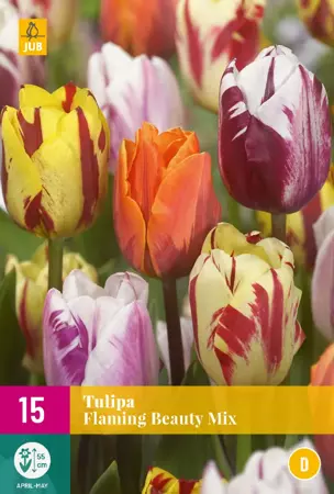 Tulipa Flaming Beauty Mix