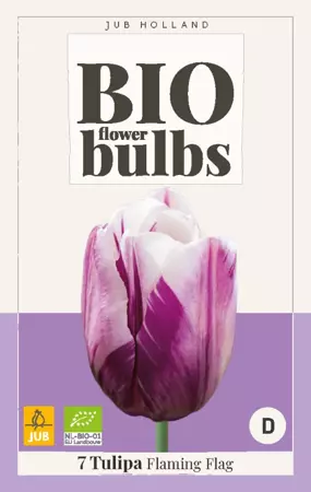 Tulipa Flaming Flag - bio