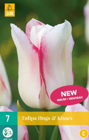 Tulipa Hugs & kisses