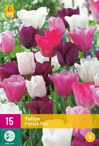 Tulipa Pastel Mix