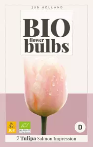 Tulipa Salmon Impression - bio